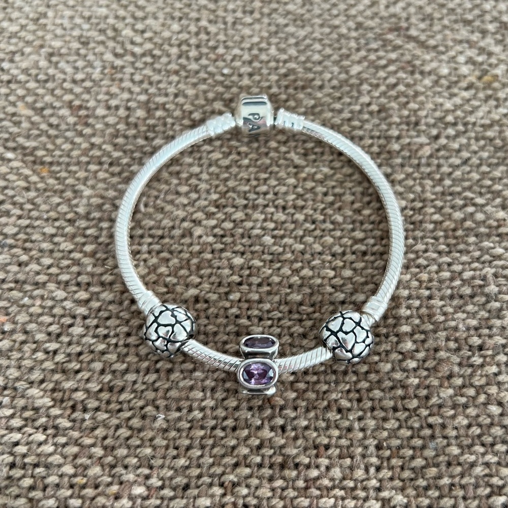 Pandora Sterling Silver Charm Bracelet with 3 Pandora Charms